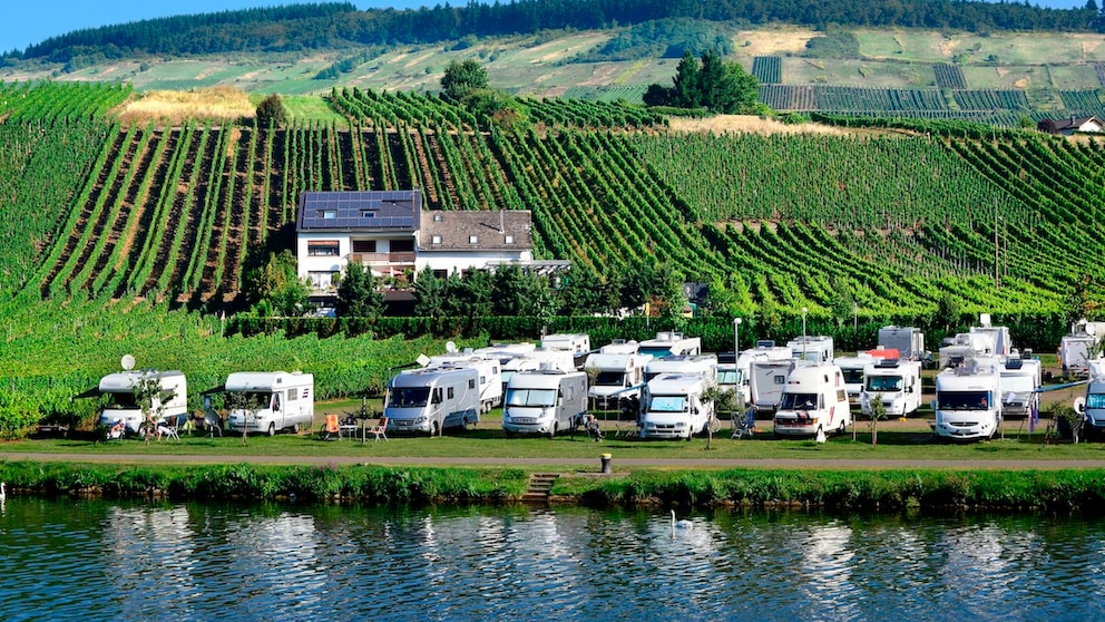 Mosel Camping Bernkastel ist auch unter den deutschen „Adults only“-Campingplätzen