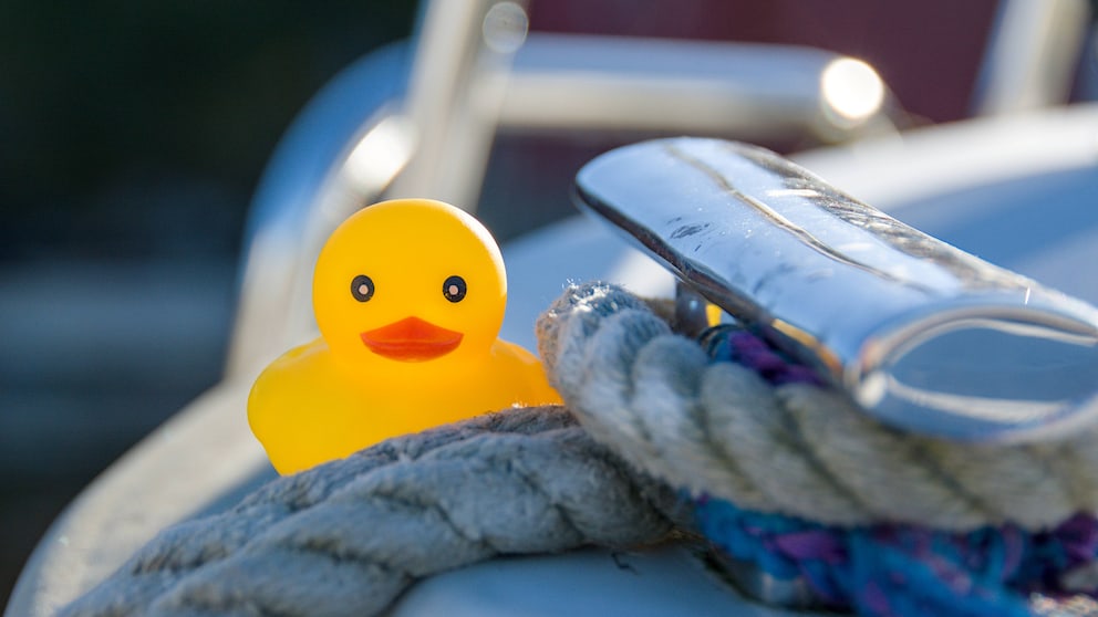Reedereien gehen gegen diese knallgelben Quietsche-Enten vor