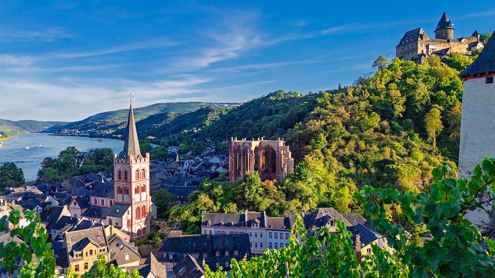 Bacharach Rein