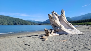 Vancouver Island gilt laut einem aktuellen Ranking als die schönste Insel Kanadas