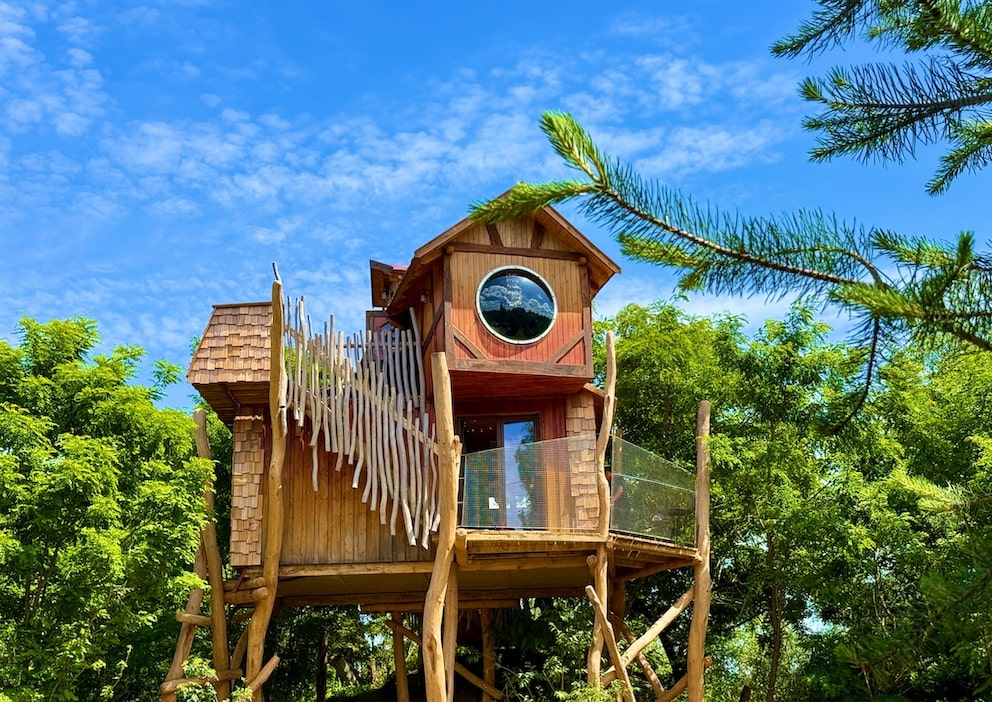 The treehouse hotel is very popular with visitors
