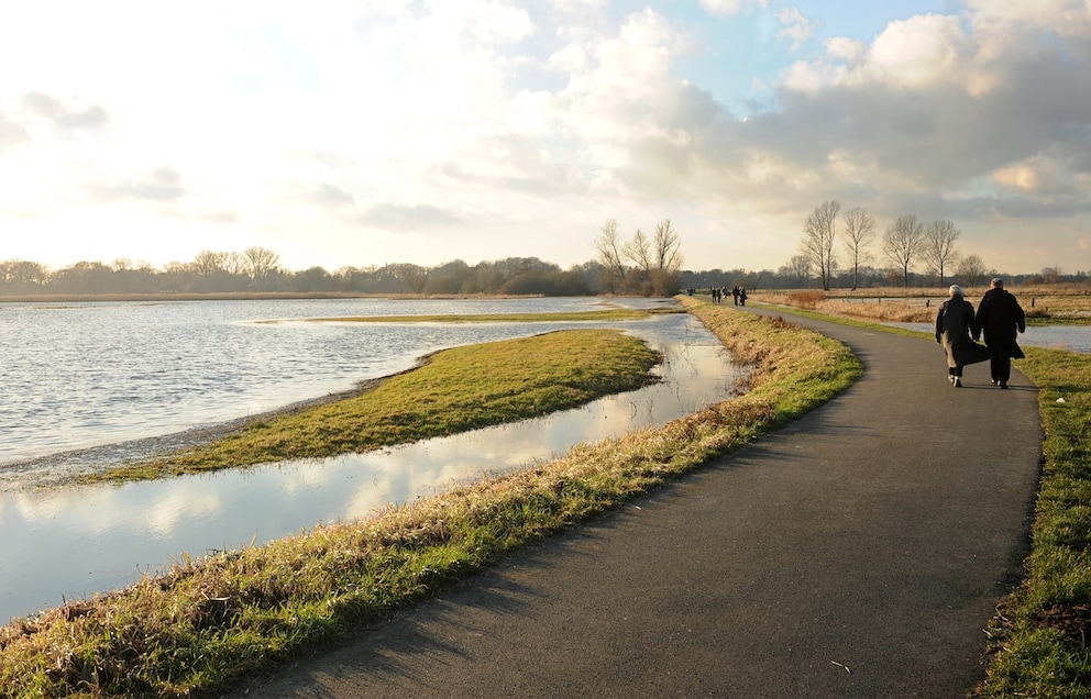 Walkers in the Wümme lowlands nature reserve