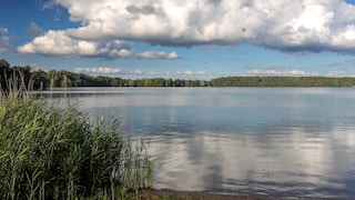 Der Wurlsee bei Lychen ist eines von sieben Gewässern, das man rund um die Stadt bei einer Paddeltour erkunden kann