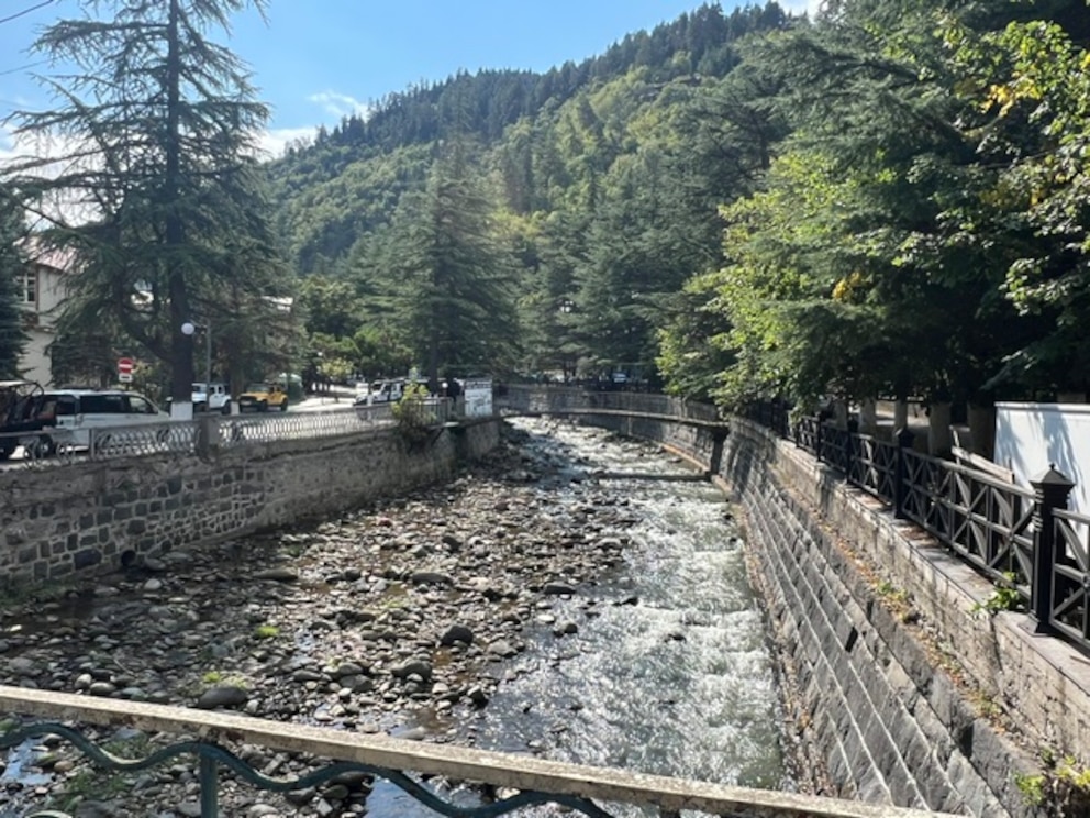 Borjomi Parc