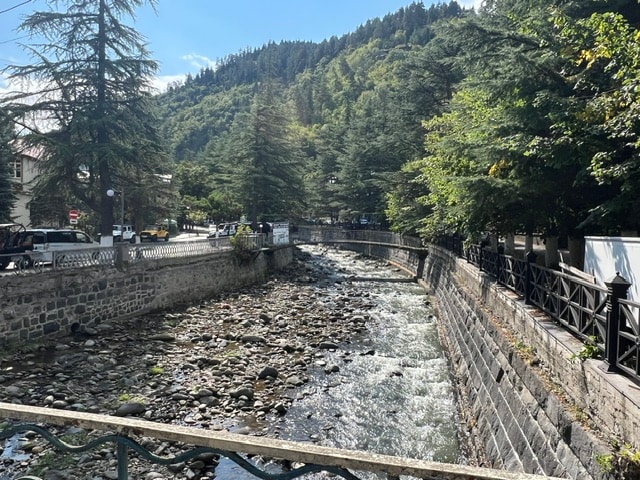 Borjomi Park