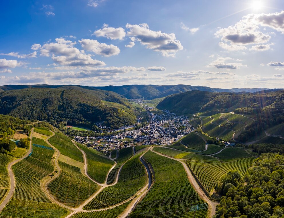 The Ahr Valley received the title of the most beautiful wine region in Europe at the TRAVELBOOK Award