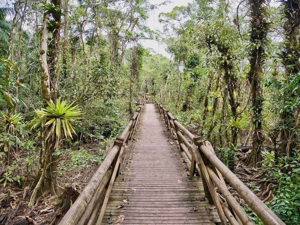 Nuquí Colombia Utría National Park