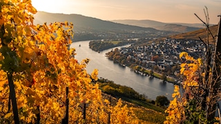 Weinregionen Deutschland Mosel Wein