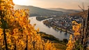 Weinregionen Deutschland Mosel Wein