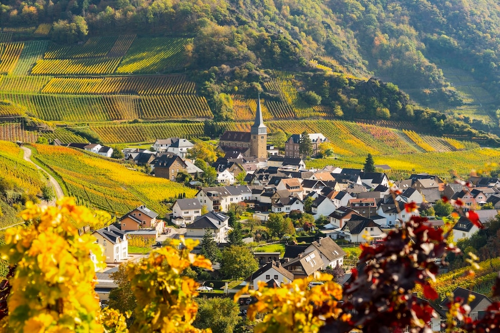 Ahr Weinregion Mayschoss Wein