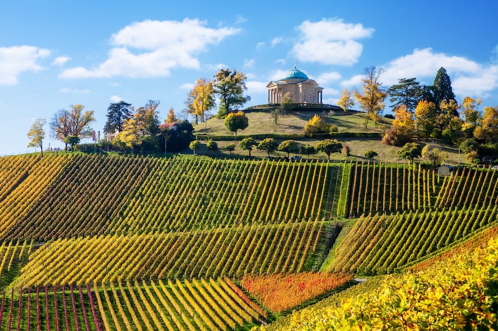 wine region württemberg stuttgart wine