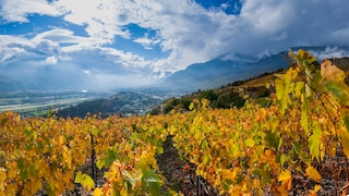 Das Schweizer Weinanbaugebiet Wallis