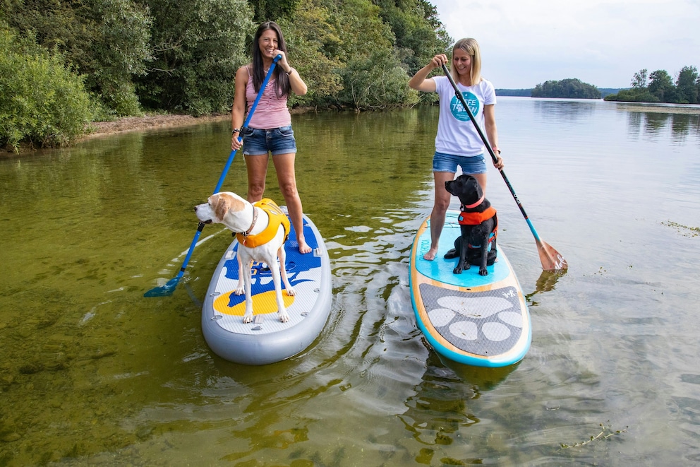 Stand-up paddling with a dog in Kellersee
