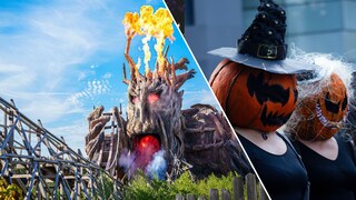 Unser aktueller Halloween-Tipp führt Sie nach Soltau.