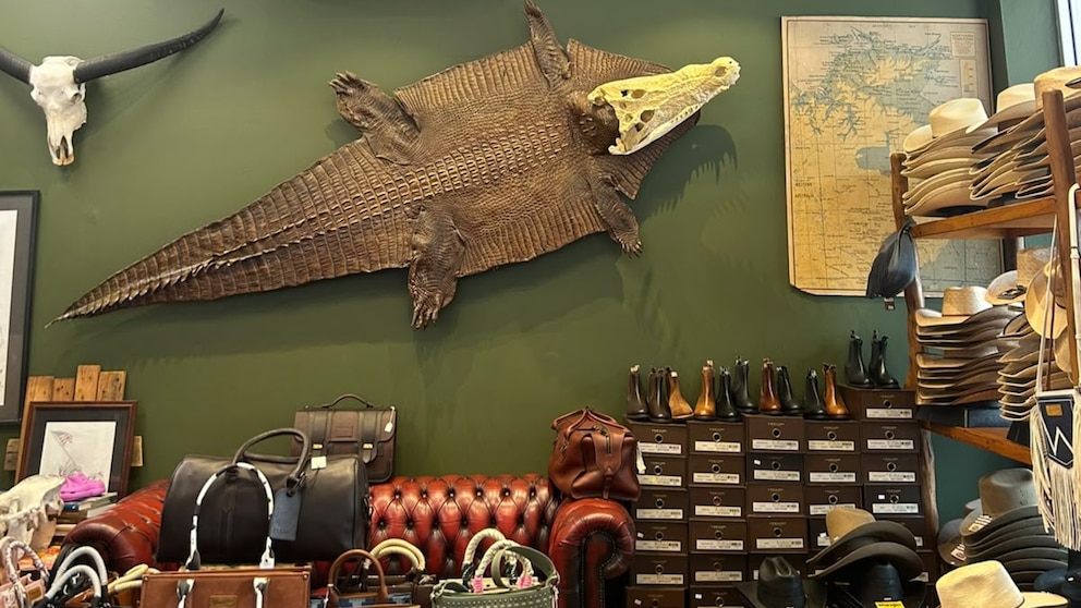krokodil shop Australien